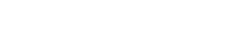 Pakistani Cricket Team